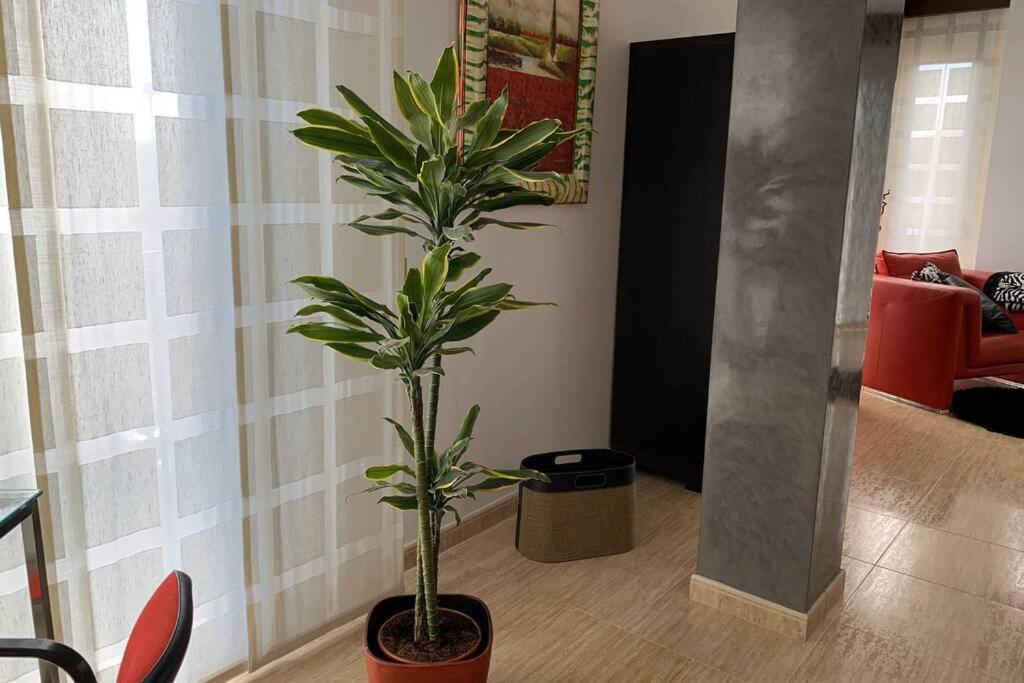 Apartamento Miramar . Amplitud Y Comodidad 阿尔马佐拉 外观 照片