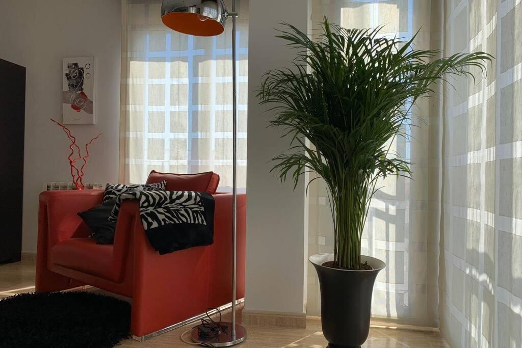 Apartamento Miramar . Amplitud Y Comodidad 阿尔马佐拉 外观 照片