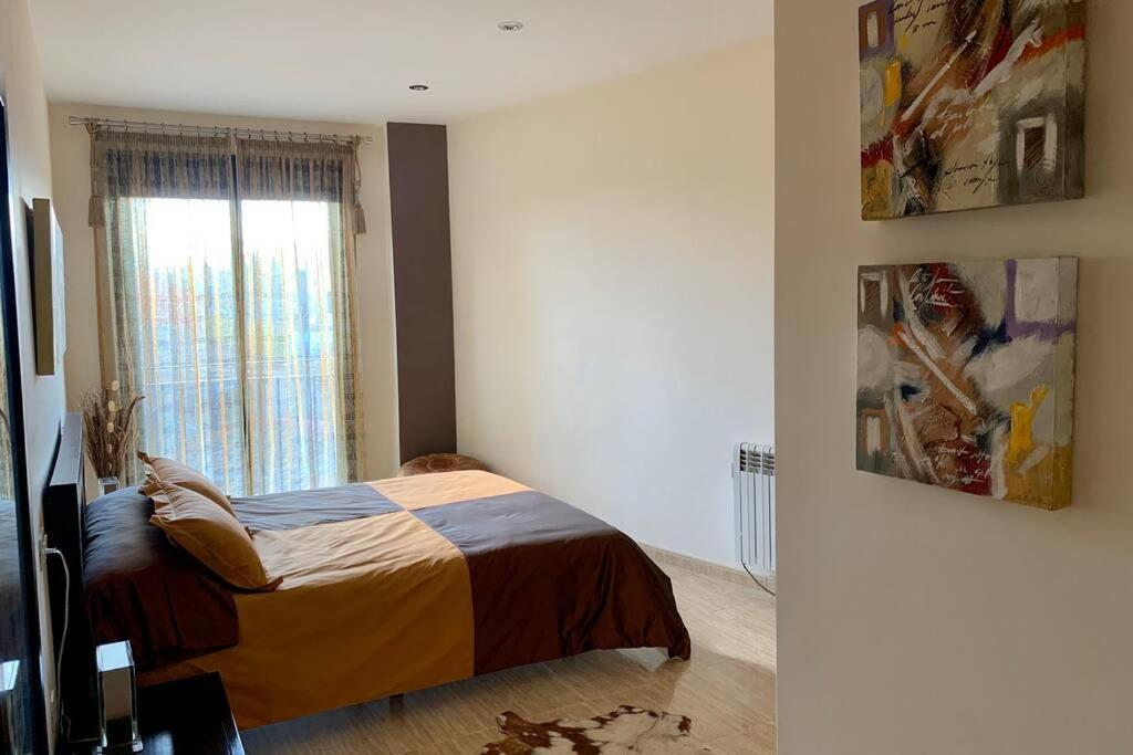 Apartamento Miramar . Amplitud Y Comodidad 阿尔马佐拉 外观 照片